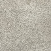 Zaria 1